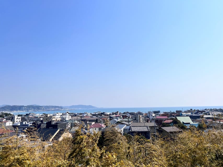 Kamakura and Enoshima: Private Guided Day Tour with Vehicle - Hase-dera’s gardens and the big Kannon statue