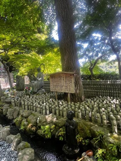 Kamakura and Enoshima: Private Guided Day Tour with Vehicle - Kōtoku-in and the Great Buddha: the photo stop that sets the tone