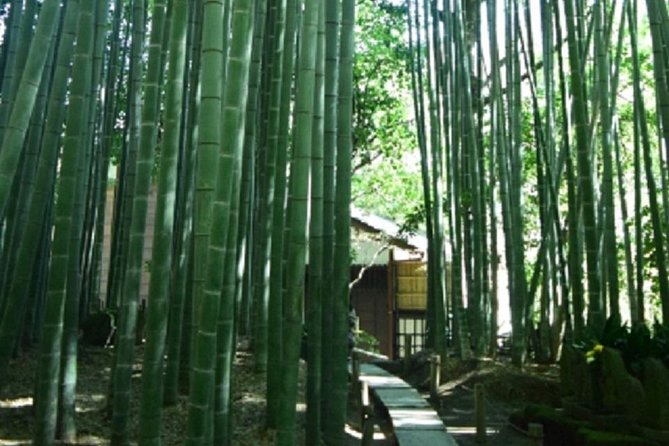 Kamakura Bamboo Forest and Great Buddha Private Tour - Hokoku-ji Bamboo Forest: matcha time in a cool, mysterious grove