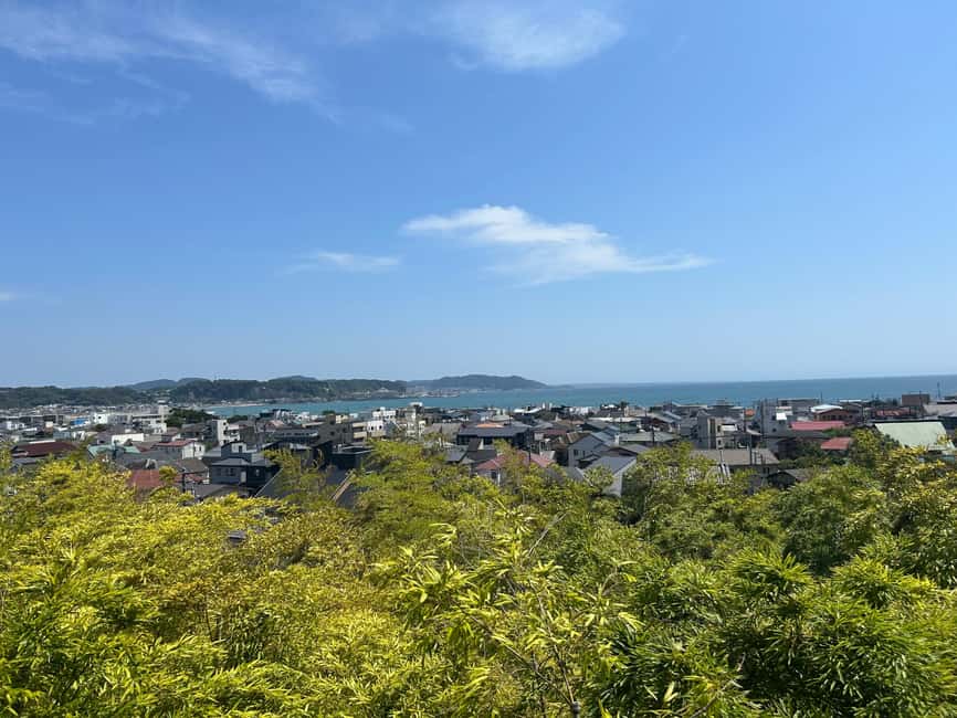 Kamakura & Enoshima: Great Buddha, Shrines and Ocean Views - Who should book this (and who should skip it)