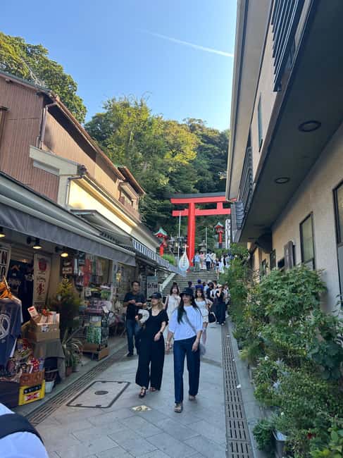 Kamakura & Enoshima: Great Buddha, Shrines and Ocean Views - The Enoden train ride: the easiest way to get real coastal views