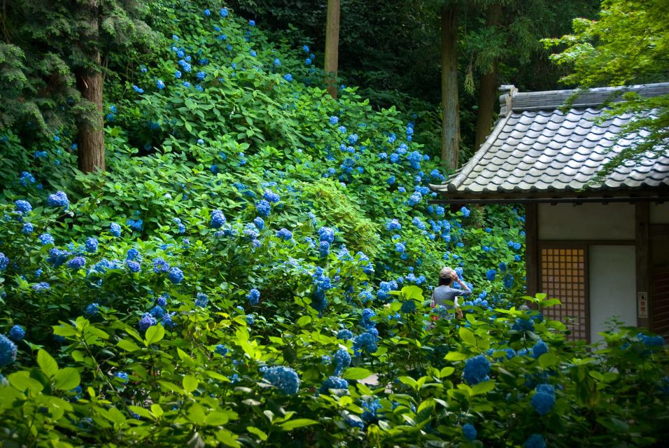 Kamakura: Great Buddha, Hase Temple, & Komachi Street Tour - The Great Buddha at Kōtoku-in: Big Presence, Open-Air Calm