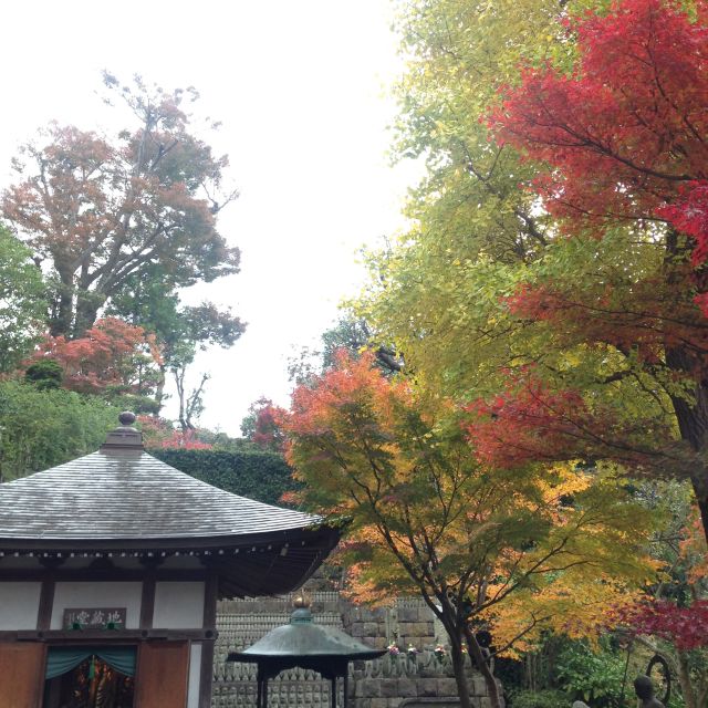 Kamakura: Great Buddha, Hase Temple, & Komachi Street Tour - Hase-dera Temple: Hydrangeas, Kannon, and Making a Wish
