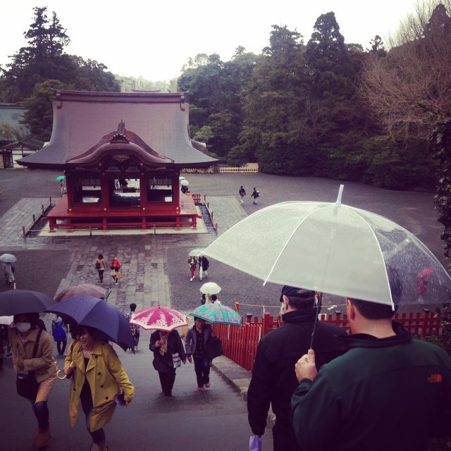 Kamakura: Great Buddha, Hase Temple, & Komachi Street Tour - Tsurugaoka Hachimangu: Shrine Atmosphere + Easy Shopping Momentum