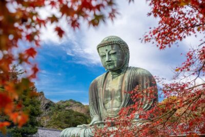 Kamakura Half Day Tour with a Local Expert Guide - Zen temple gardens and a Buddha moment you’ll remember