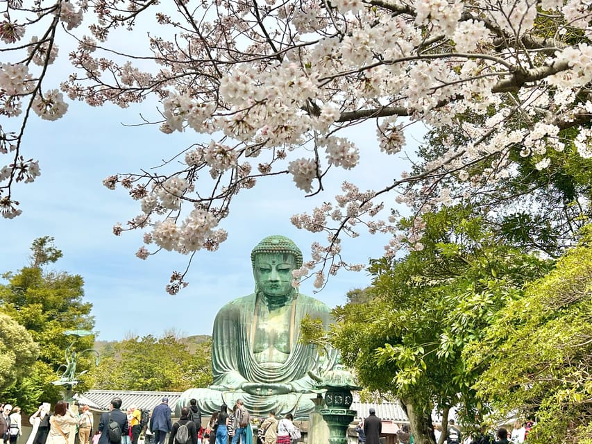Kamakura: Half day Walking tour & Japanese sweets - Hase-dera Gardens and the Observation Deck: Beach Views Meet Temple Quiet