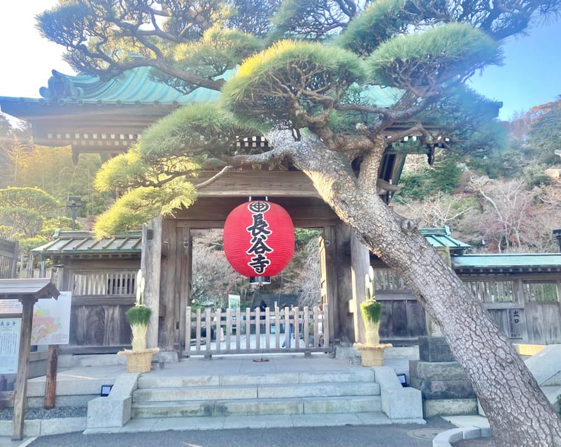 Kamakura: Half day Walking tour & Japanese sweets - Tsurugaoka Hachiman-gu: The Samurai Center of Kamakura