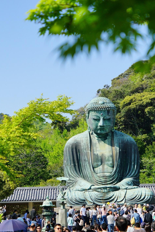 Kamakura Half Day Walking Tour with Local Experience - Hasedera Temple Gardens and Caves: 45 Minutes That Actually Works