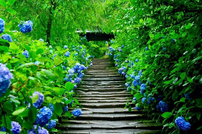 Kamakura Private Custom Tour - Kamakura Komachidori: where temples meet everyday food and shopping
