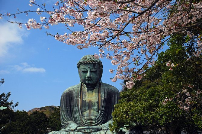 Kamakura Private Custom Tour - Meeting at Kamakura Station, then letting transit do the work