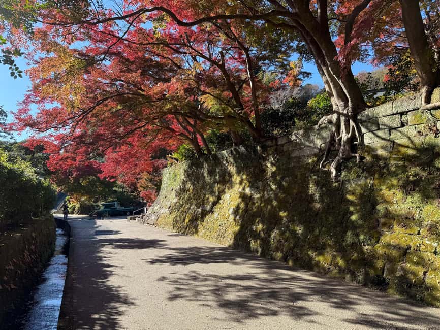 Kamakura Private & Customized Half-Day Tour with Local Guide - Pace, practicalities, and what to bring
