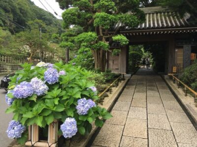 Kamakura: Private History and Heritage Tour by Rickshaw - Otori Gate and Tsurugaoka Hachimangu: your fast start in old Kamakura