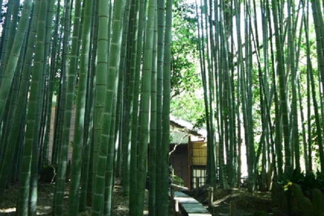 Kamakura Private Tour by Public Transportation - Stop 1: Hasedera Temple and the Flower Tradition
