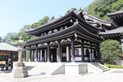 Kamakura Private Tour by Public Transportation - The Public-Transport Day: Trains, Buses, and Practical Timing