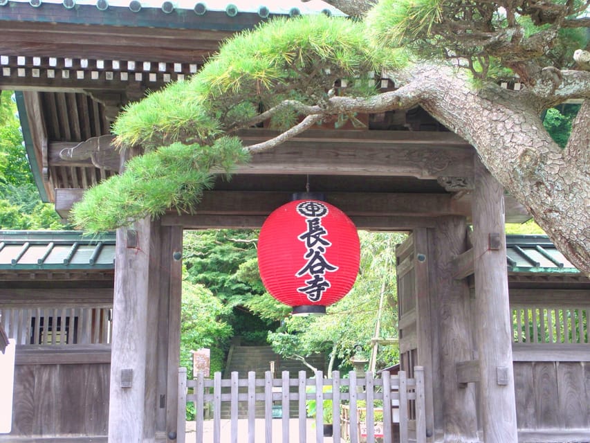 Kamakura Temples Private Guided Tour from Tokyo - Guide quality: where the tour really earns its stars