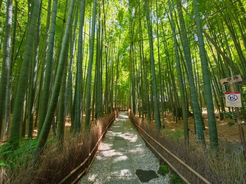 Kamakura Zen: Great Buddha, Nature, Bamboo & Samurai Culture - Key Points You’ll Care About