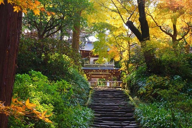 Kamakura Zen Temples and Gardens Private Trip with Government-Licensed Guide - Key highlights to know before you go
