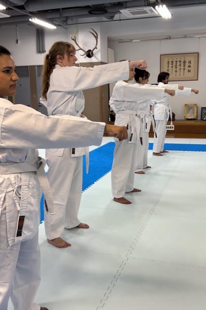 Karate Experience with the Shotokan Karate-do Instructor - Price and Value: Is $220 for 90 Minutes Reasonable?