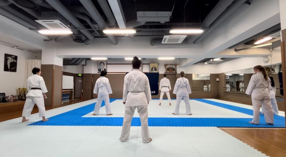 Karate Experience with the Shotokan Karate-do Instructor - Who Should Book This Karate Experience (and Who Might Skip It)