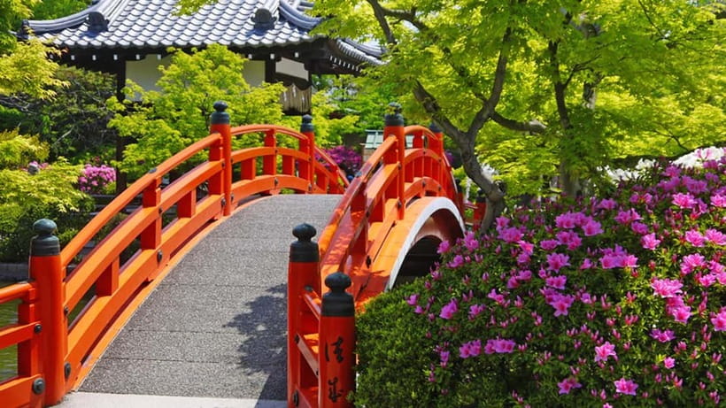 Kyoto: Nijo Castle World Heritage Guided Tour with Admission - Koi carp moats and photogenic gardens you’ll actually want to pause for