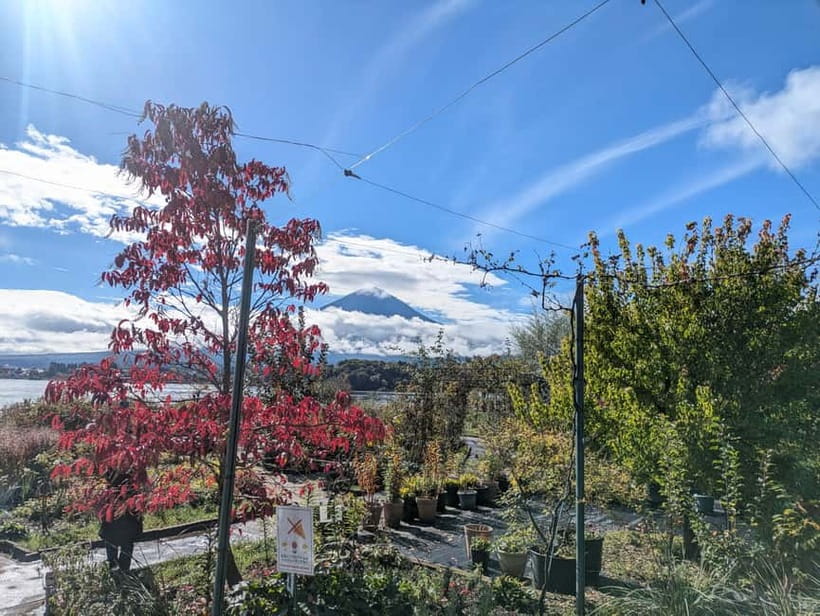 Lake Kawaguchi : Half day Private Tour with local guide - Who This Tour Fits Best