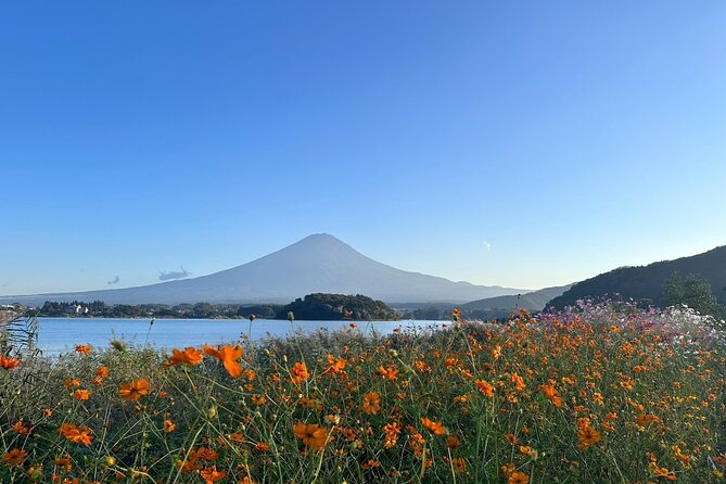 Lake Kawaguchi : Private Half Day Customized Tour w/ local guide - Weather, Fuji visibility, and how to plan your expectations
