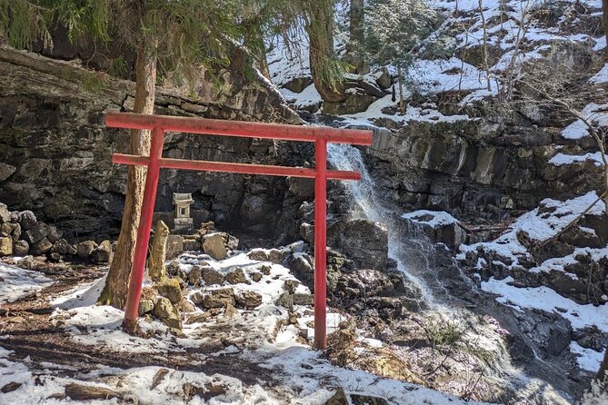 Lake Kawaguchi Private Hiking Tour with local guide - The stops: shrine moments, waterfalls, caves, and wildlife chances
