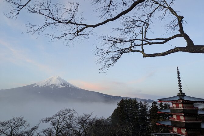 Lake Kawaguchi Private Hiking Tour with local guide - Price and value: what $52.32 buys you
