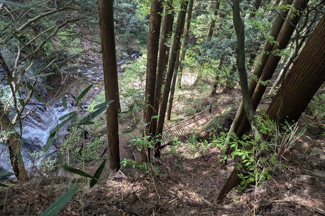 Lake Kawaguchi Private Hiking Tour with local guide - Who this hike is best for (and who may want something else)
