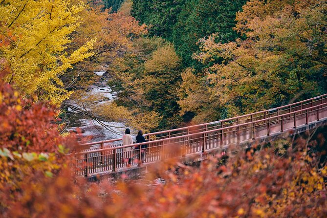 Little Adventure with Cycling in Tokyo No. 1 Crystal Clear River - The Main Event: River Trekking with Waterproof Gear to a Hidden Waterfall