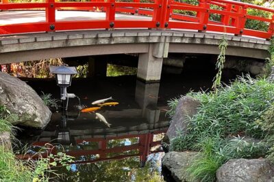 Lunch & Cultural Tour - Stop 1: Chiba Shrine and the North Star / Big Dipper Story