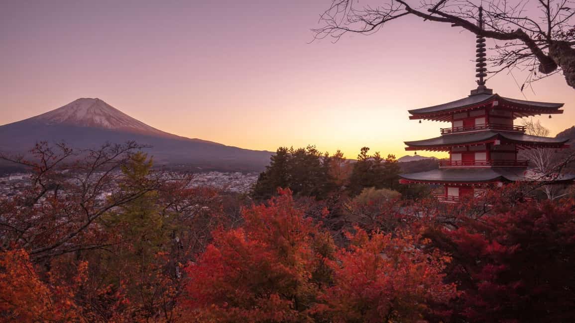 Mount Fuji 1-Day Trip: the Hottest Photography Tour - Why a guided Mount Fuji photography day beats DIY