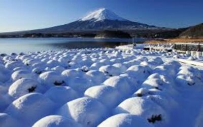 Mount Fuji and Hakone Day tour with English speaking Drivers - How the Tokyo Pickup Ride Really Shapes Your Day