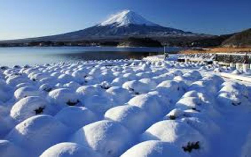 Mount Fuji and Hakone Day tour with English speaking Drivers - How the Tokyo Pickup Ride Really Shapes Your Day