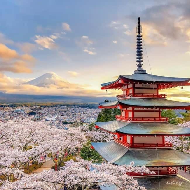 Mount fuji and Hakone full day private tour with English gui - Pickup in Tokyo without the chaos