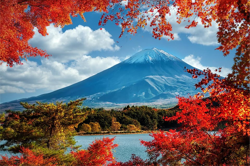 Mount Fuji and Hakone Tour with Personal Driver & Transport - The Value of a Private Driver for a Full Fuji Day
