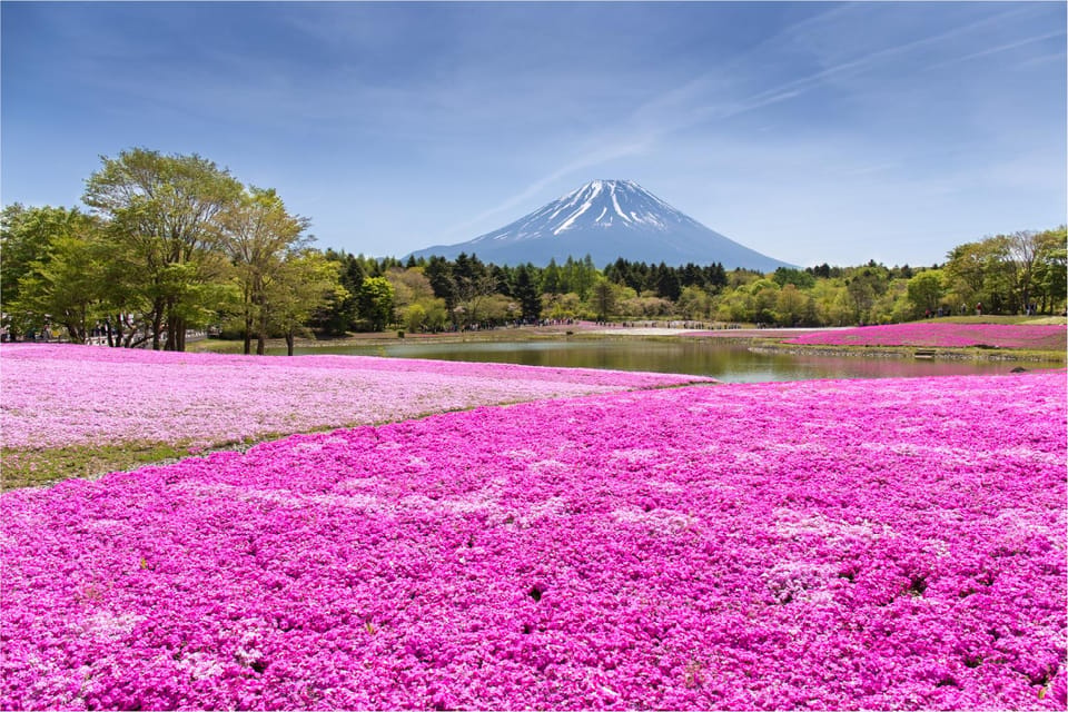 Mount Fuji and Hakone Tour with Personal Driver & Transport - Pickup, Van Comfort, and How the Timing Feels