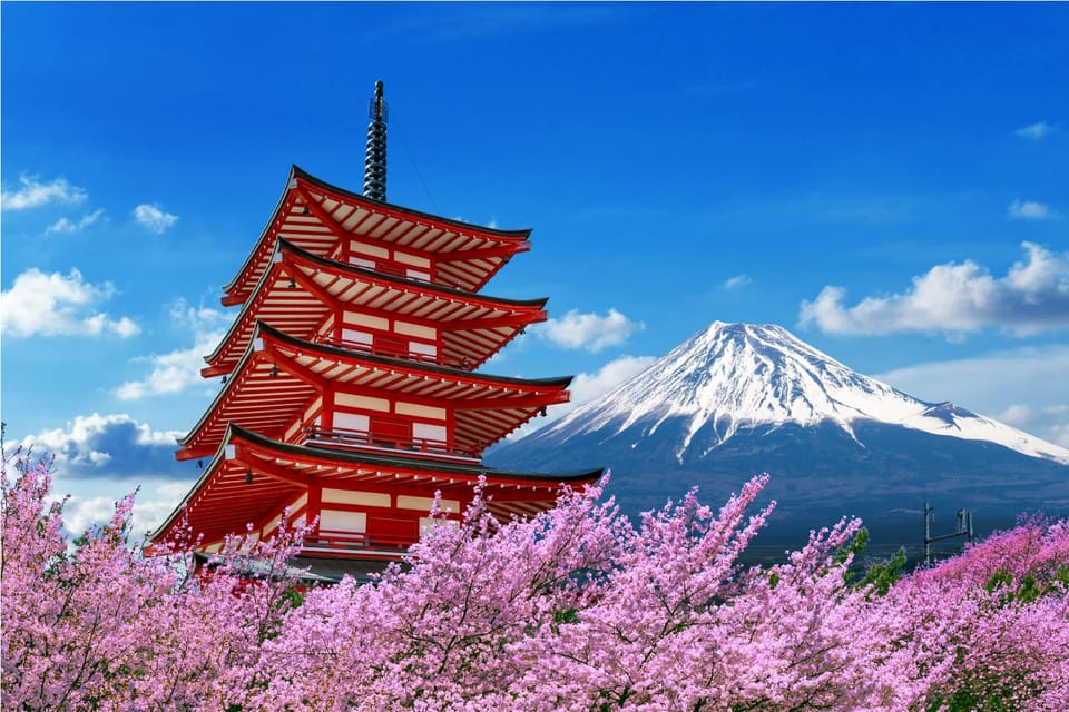 Mount Fuji and Hakone Tour with Personal Driver & Transport - Arakura Fuji Sengen Shrine: The Photo Stop That Sets the Tone