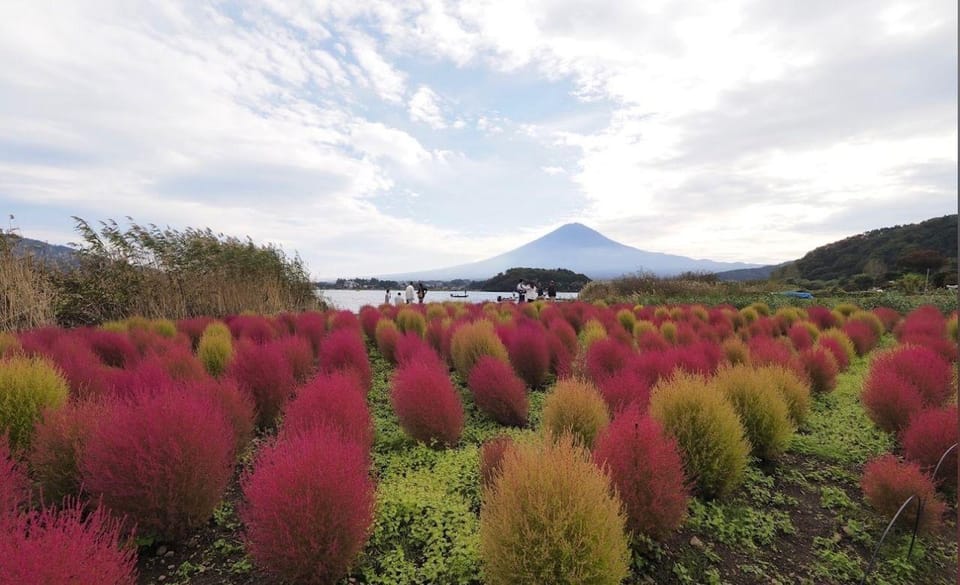 Mount Fuji Customize Private Tour with English Driver - Who should book this private Mt. Fuji + Hakone day (and who should skip)