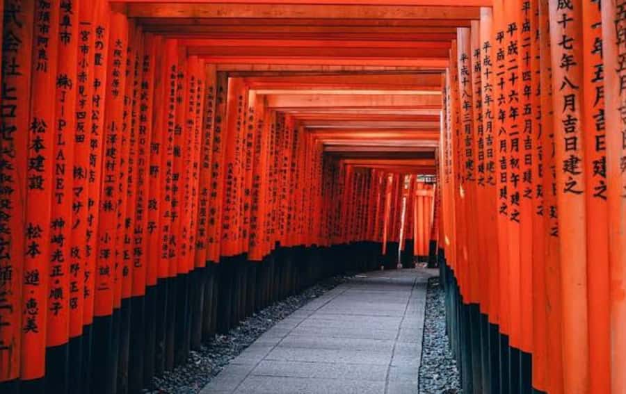 Mount Fuji Customize Private Tour with English Driver - Hakone in the mix: Lake Ashi, pirate-ship time, and the view from the water