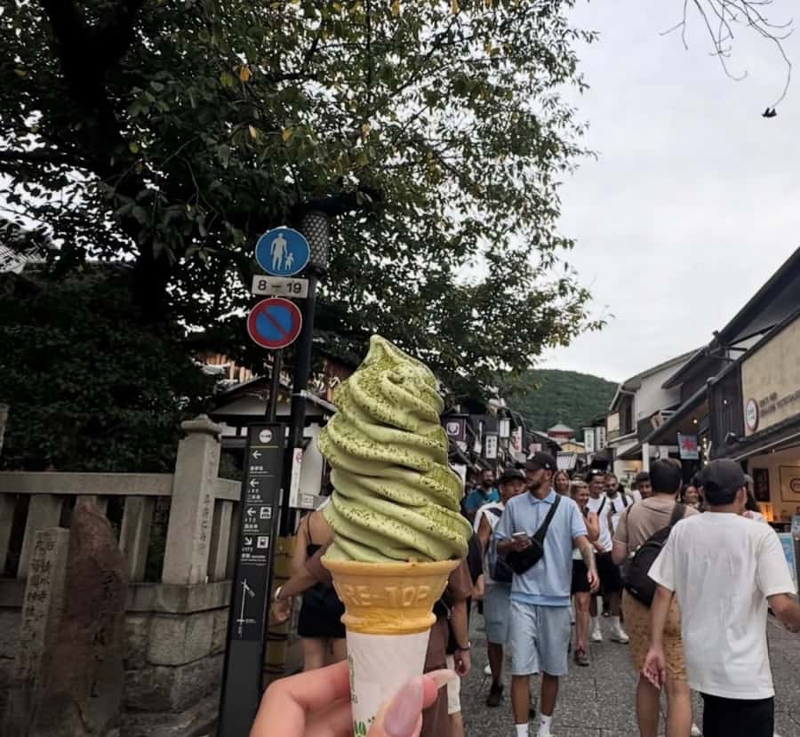 Mount Fuji Customize Private Tour with English Driver - Arakurayama Sengen Park: the pagoda walk with Arakurayama Sengen-jinja