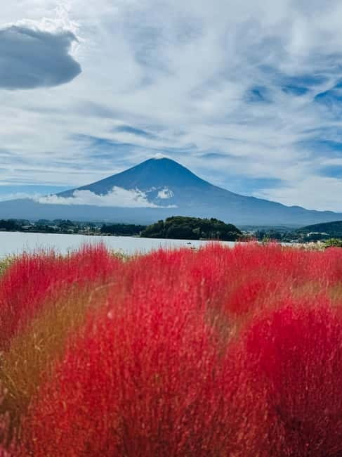 Mount Fuji Full-Day Private Customizable Tour From Tokyo - Mt. Kachi Kachi Ropeway and Hakone’s cable car option