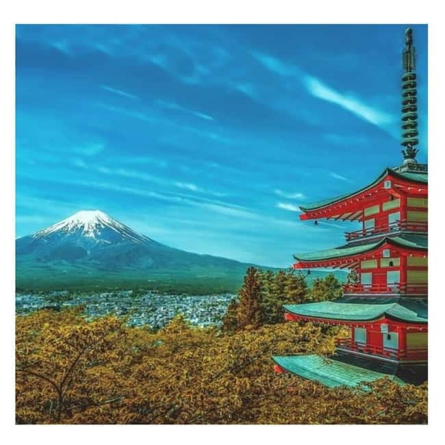 Mount Fuji Full Day Private Tour from Tokyo Full Customized - Chureito Pagoda: The Mt. Fuji Photo Stop Done Right