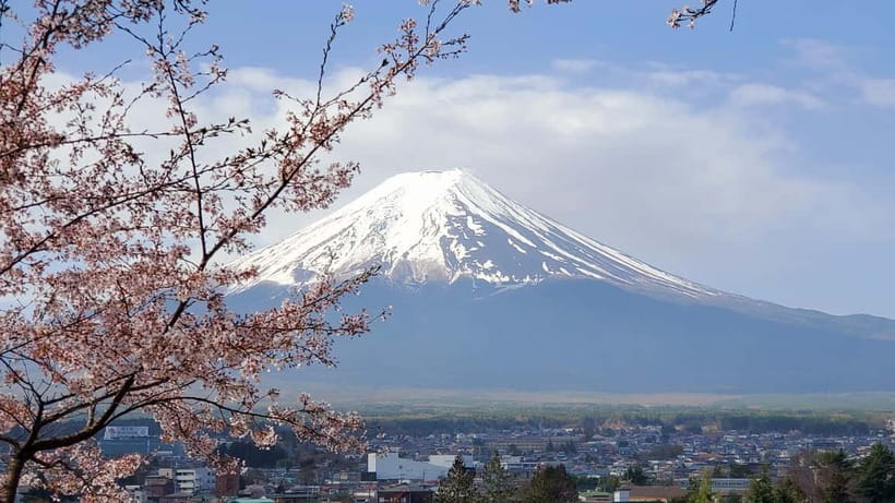 Mount Fuji & Hakone Full-Day Private Tour (Customizable) - Tokyo to Chureito Pagoda: the Fuji “first look” stop