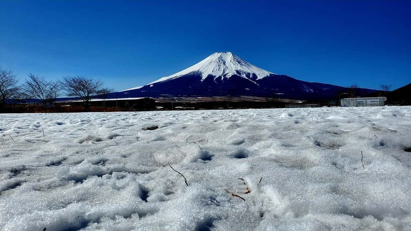 Mount Fuji & Hakone Full-Day Private Tour (Customizable) - Who this private tour suits best
