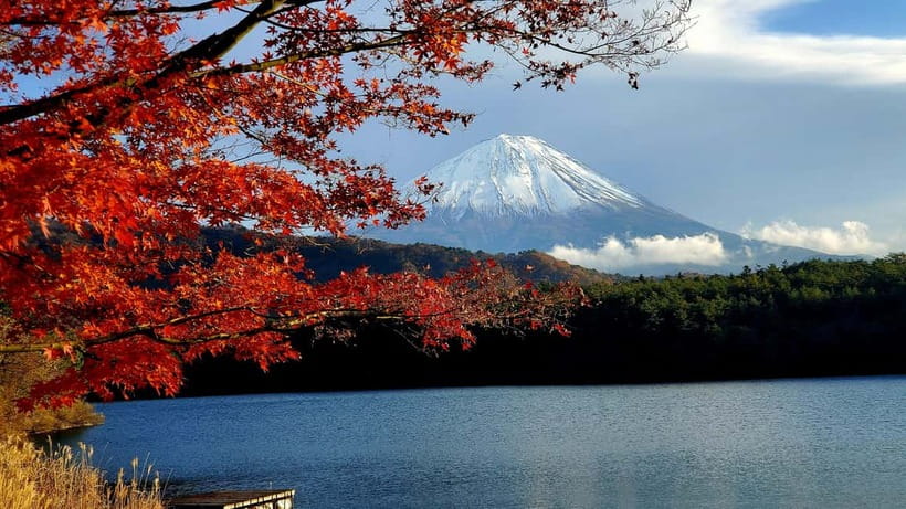 Mount Fuji & Hakone Full-Day Private Tour (Customizable) - Fuji Sengen Shrine: where the mountain meets tradition