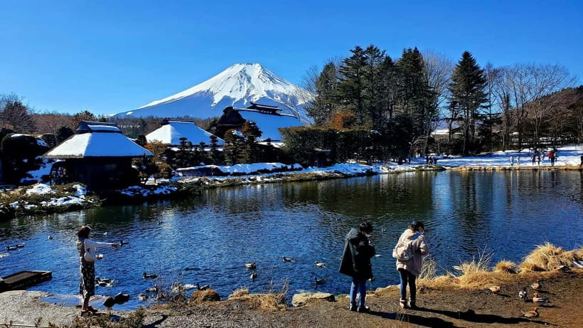 Mount Fuji & Hakone Full-Day Private Tour (Customizable) - Hakone Ropeway: the cloud ride that changes how you see the valley