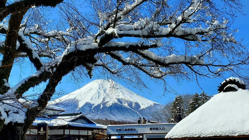 Mount Fuji & Hakone Full-Day Private Tour (Customizable) - Gotemba Premium Outlet: the shopping break (if you want it)