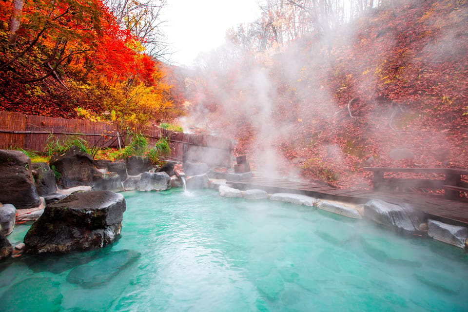 Mount Fuji - Hakone & Onsen Full Day Private Tour - Key Highlights Worth Booking For