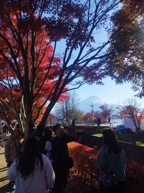 Mount Fuji - Hakone & Onsen Full Day Private Tour - Hakone Open-Air Museum: Outdoor Art With a Foot Bath Twist